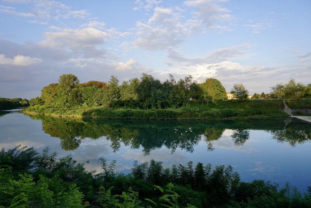 green trees beside river under white clouds and blue sky during daytime