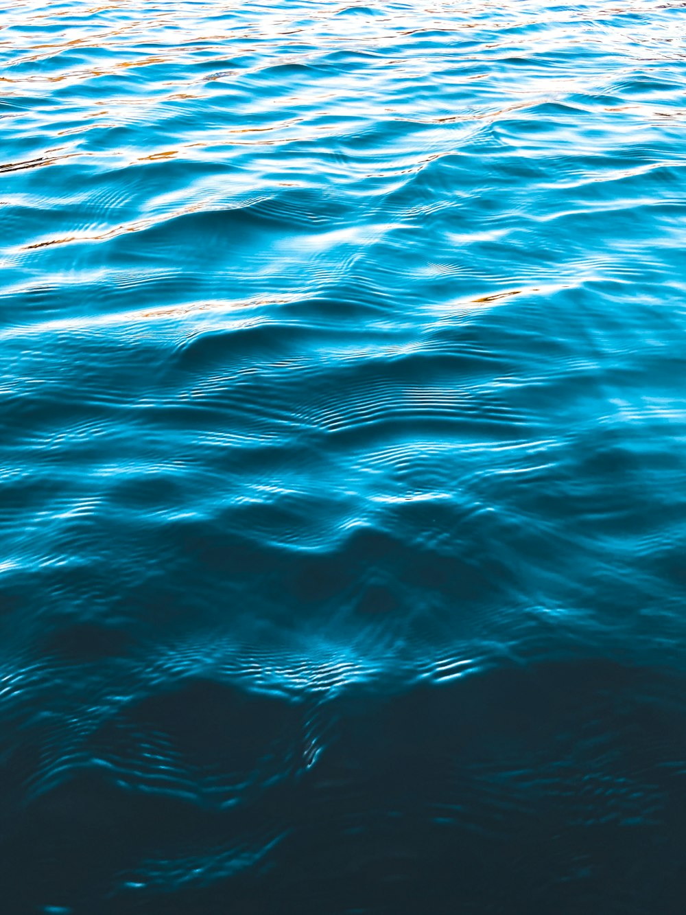 Cuerpo de agua azul durante el día