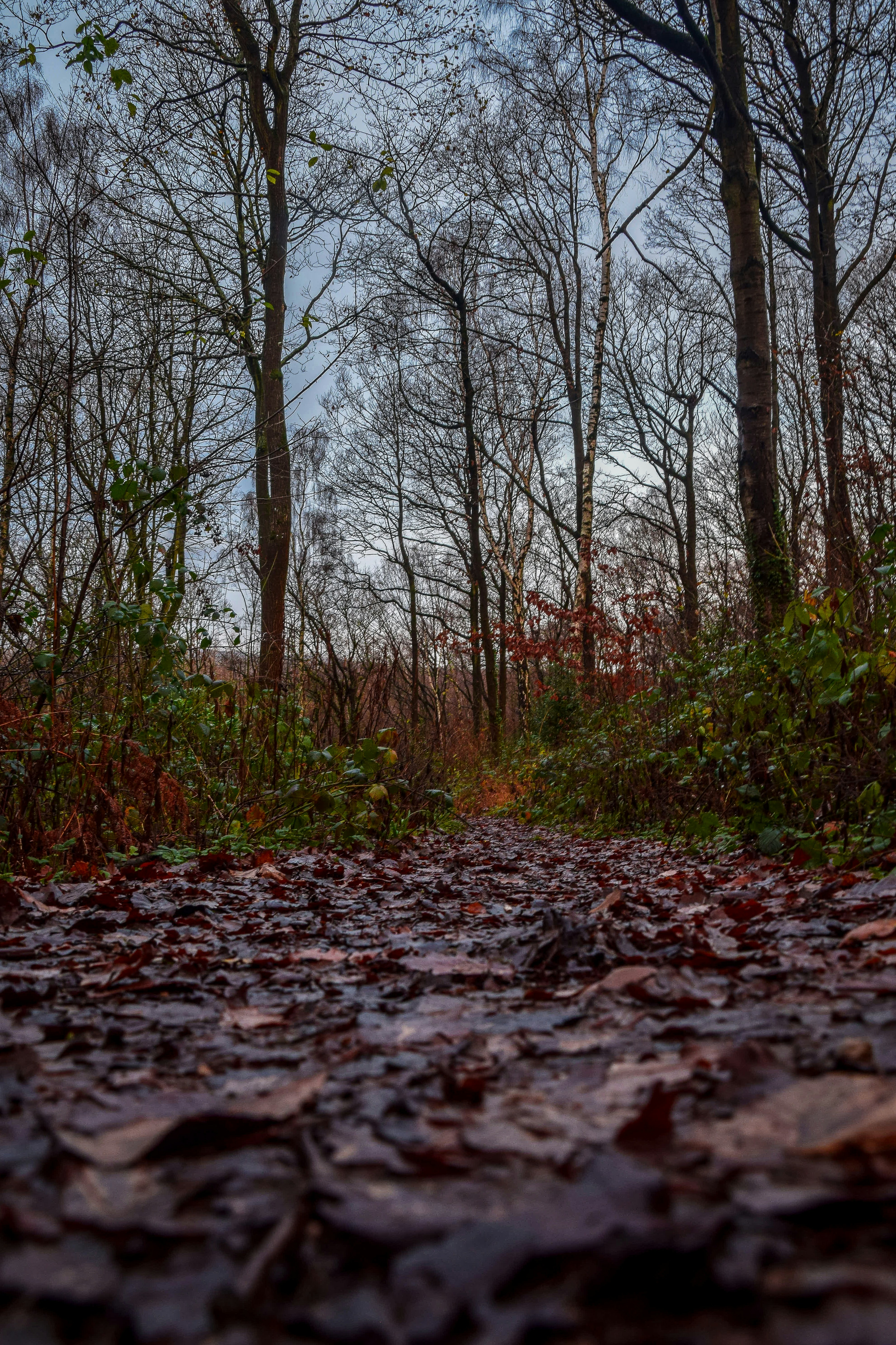 Photo by tompodmore86