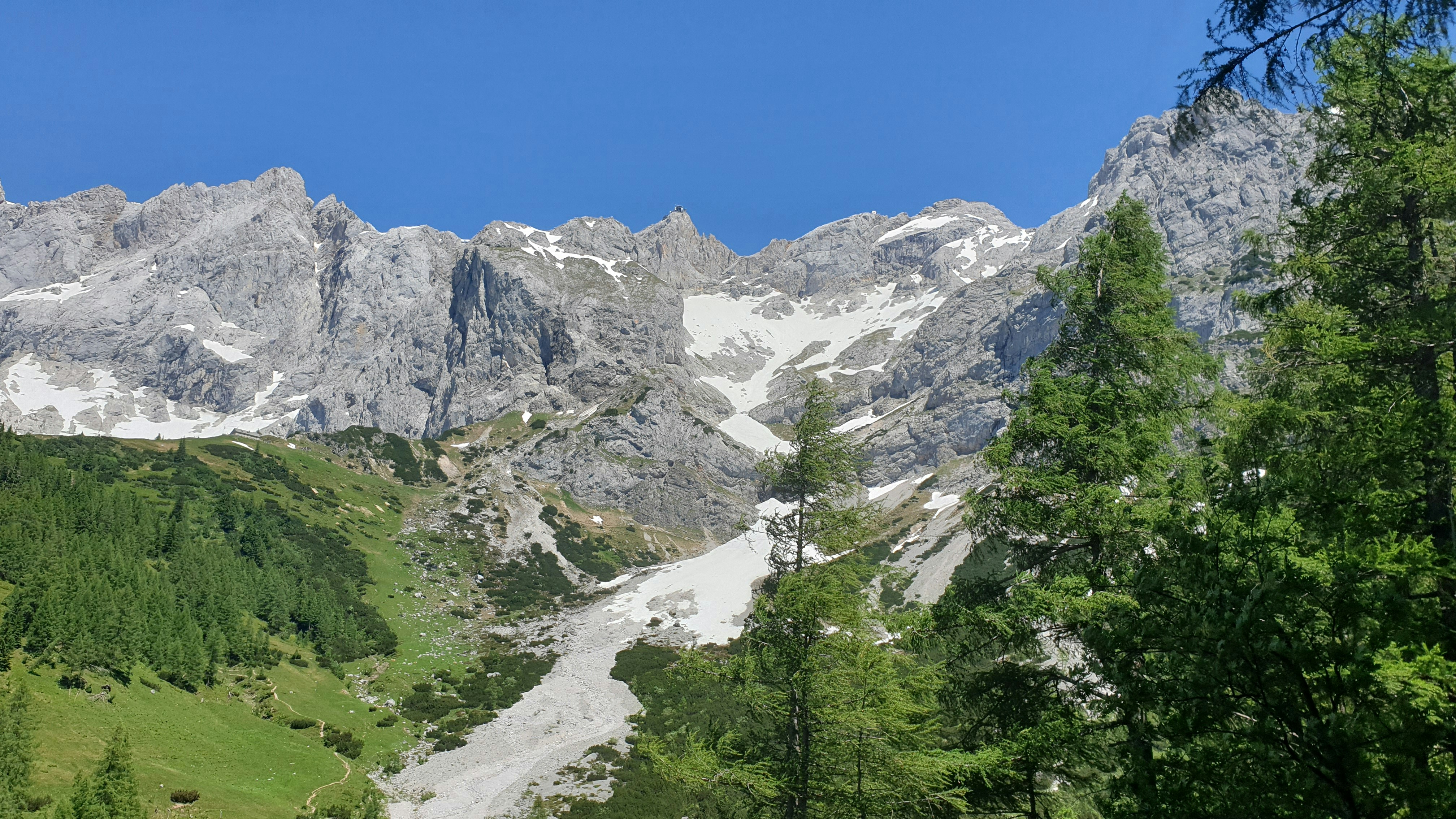 green trees near mountain under blue sky during daytime