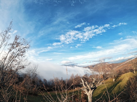 A picturesque landscape featuring a valley filled with a blanket of mist, surrounded by barren trees and rolling hills under a vibrant blue sky with scattered clouds. The scene captures a serene and tranquil natural setting.