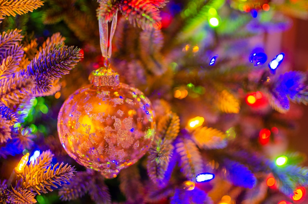 gold and silver baubles on green christmas tree photo – Free Ornament ...
