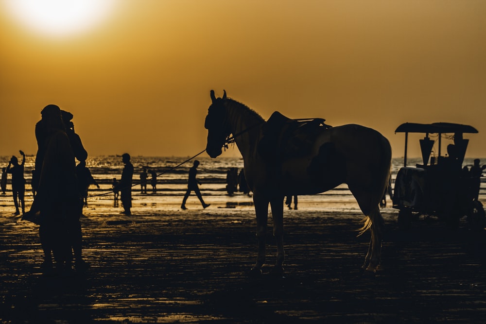 silhouette of people riding horses on beach during sunset