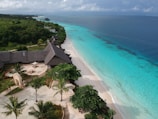aerial view of beach during daytime