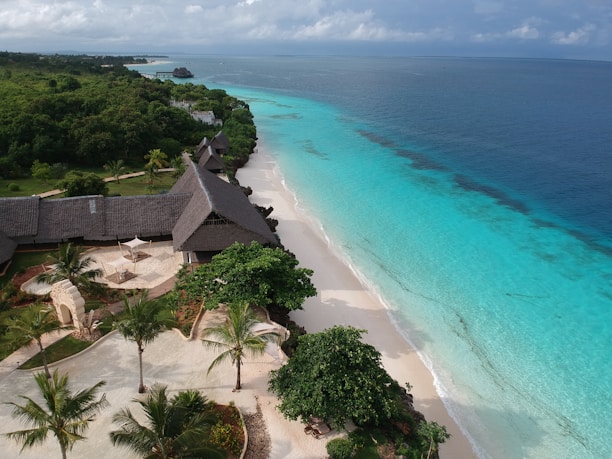 An aerial view of a tropical beachfront resort with lush greenery, thatched-roof buildings, and a clear turquoise ocean stretching alongside a white sandy beach. The resort is surrounded by well-maintained gardens with palm trees and paths leading to different parts of the area.