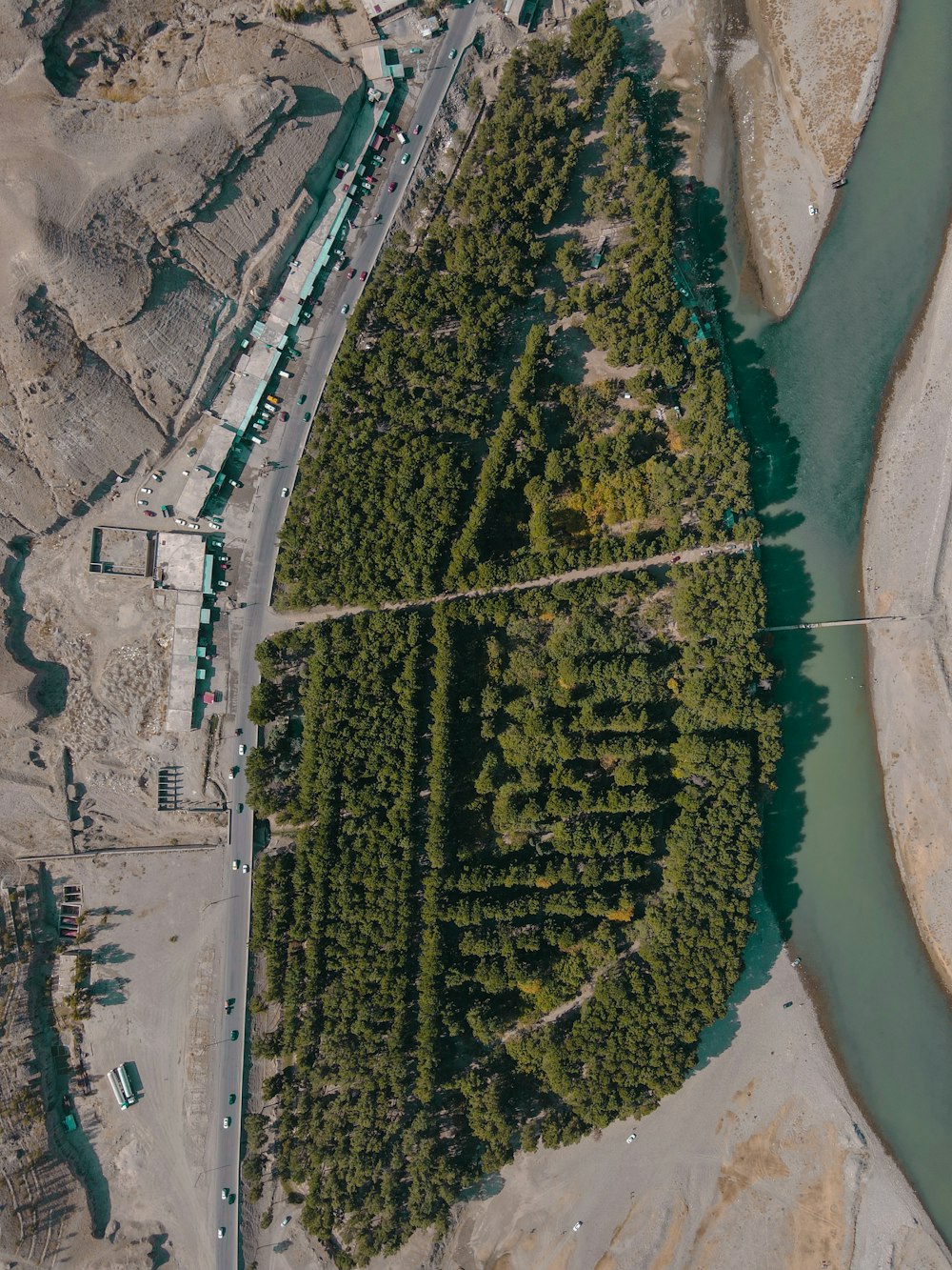 aerial view of green trees and river