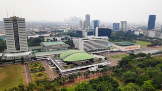 An aerial view of a large urban area featuring a mix of modern high-rise buildings and lower structures with distinctive green roofs, set against a backdrop of a sprawling cityscape. The lush greenery and landscaped gardens are visible in the foreground, contrasting with the dense urban environment.