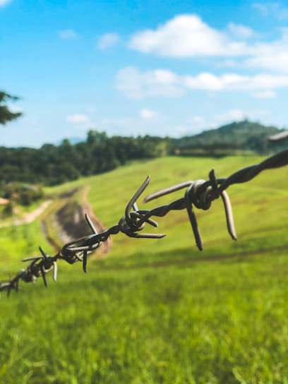 Close-up of sturdy metal farm fencing enclosing a lush green field.