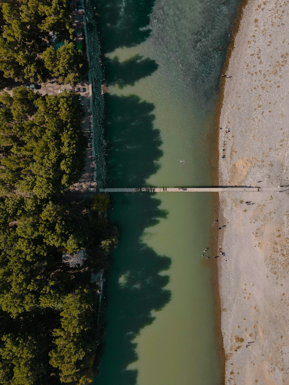 green body of water near green trees during daytime