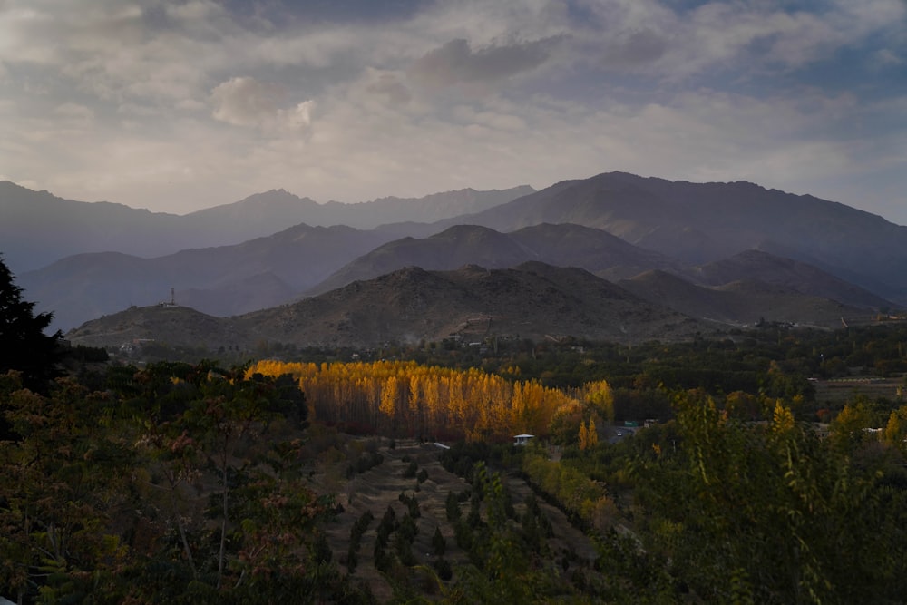 green trees and mountains under white clouds