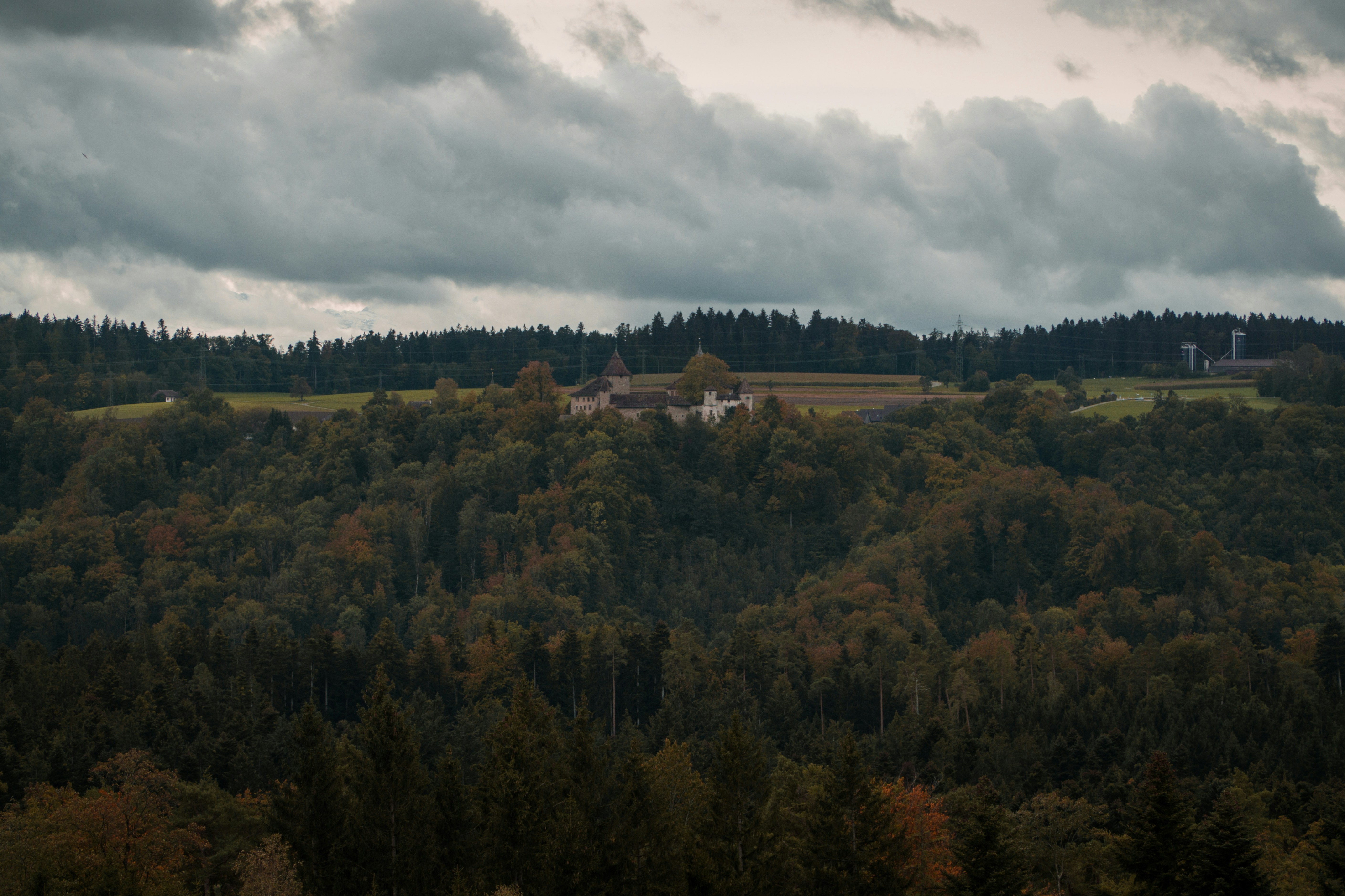 Ramon Fuchs (@ramon_fuchs) | Unsplash Photo Community