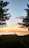 Couple enjoying a serene lake view with clear turquoise water and pine trees surrounding the shore at sunset.