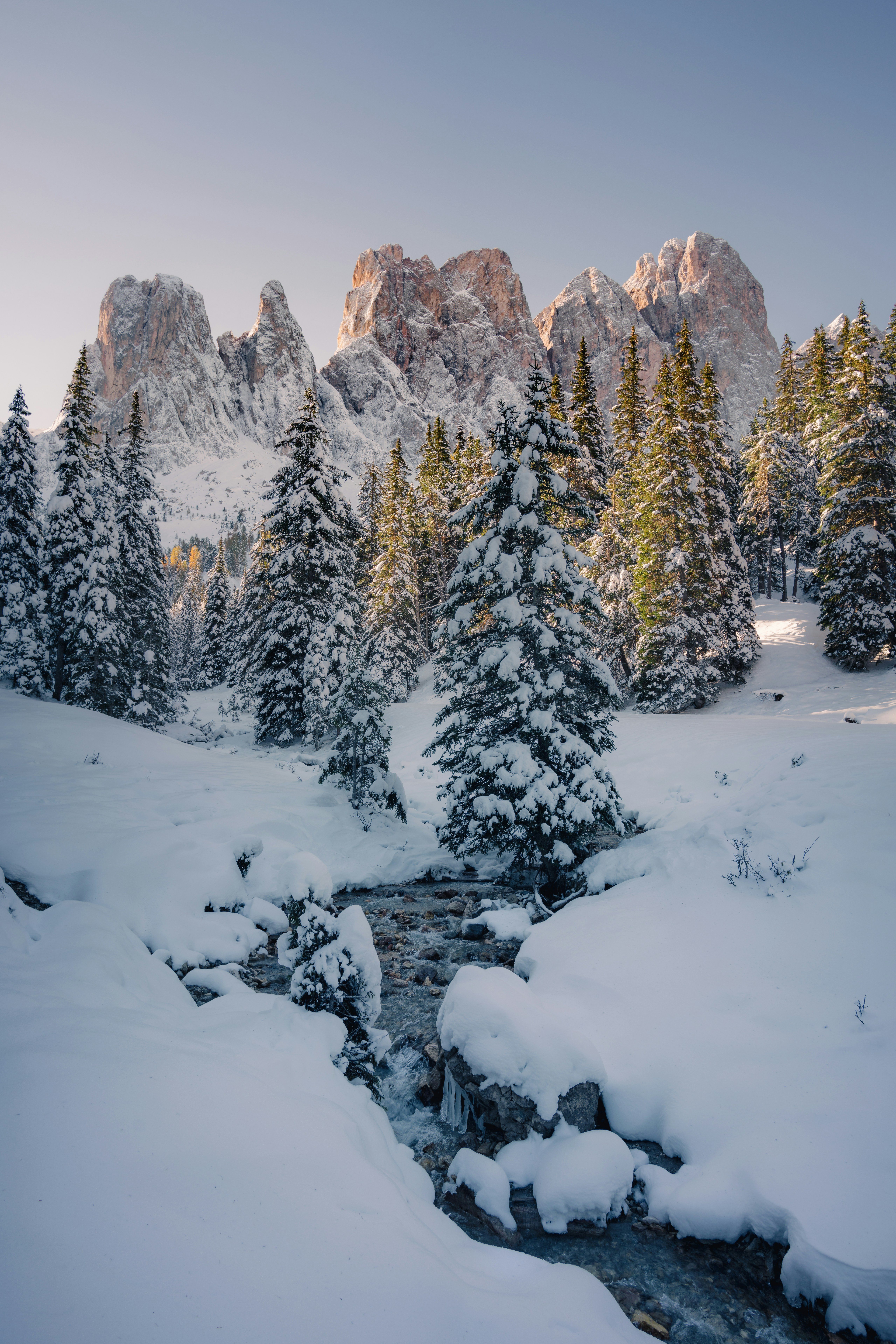 green pine trees covered with snow during daytime