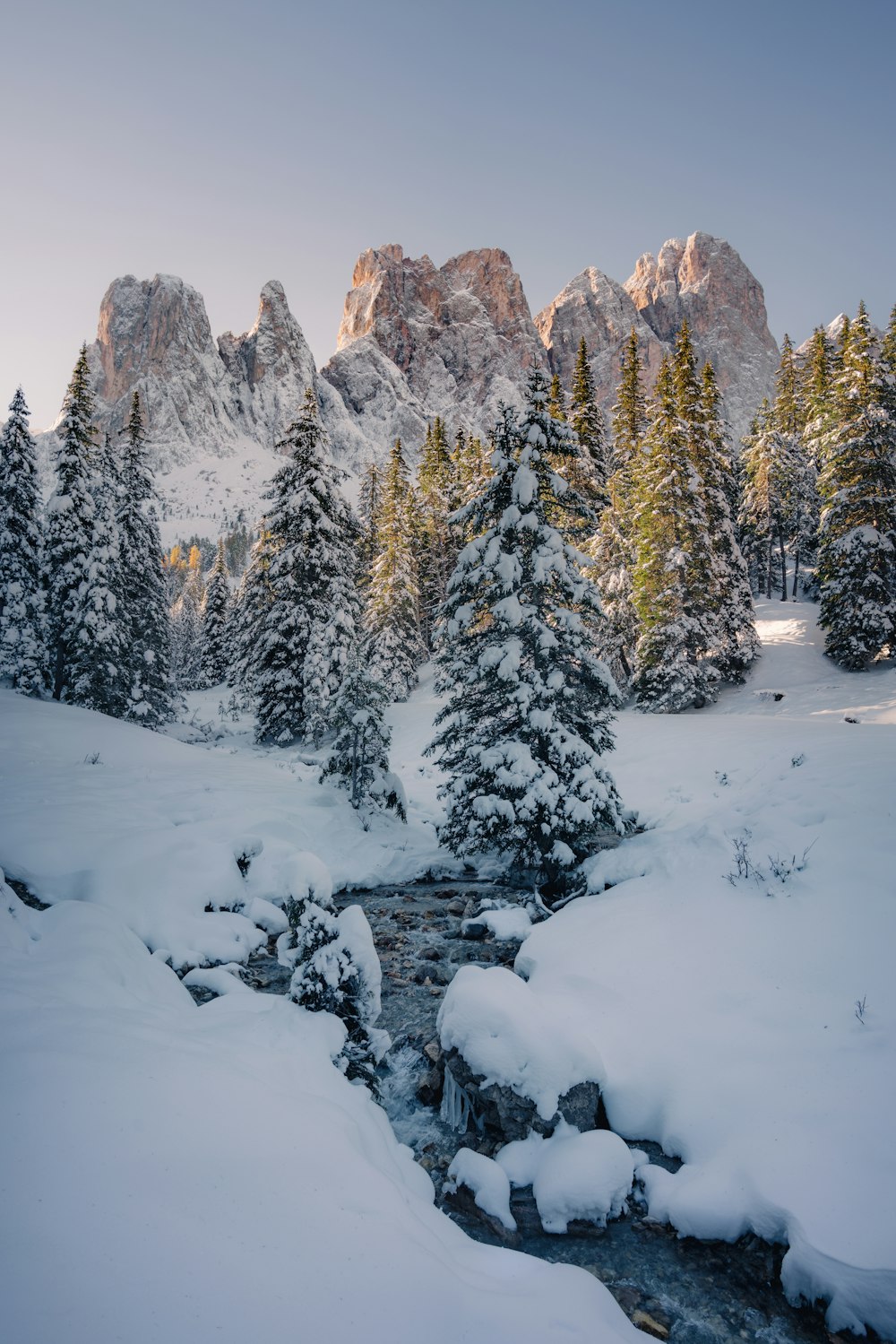 green pine trees covered with snow during daytime