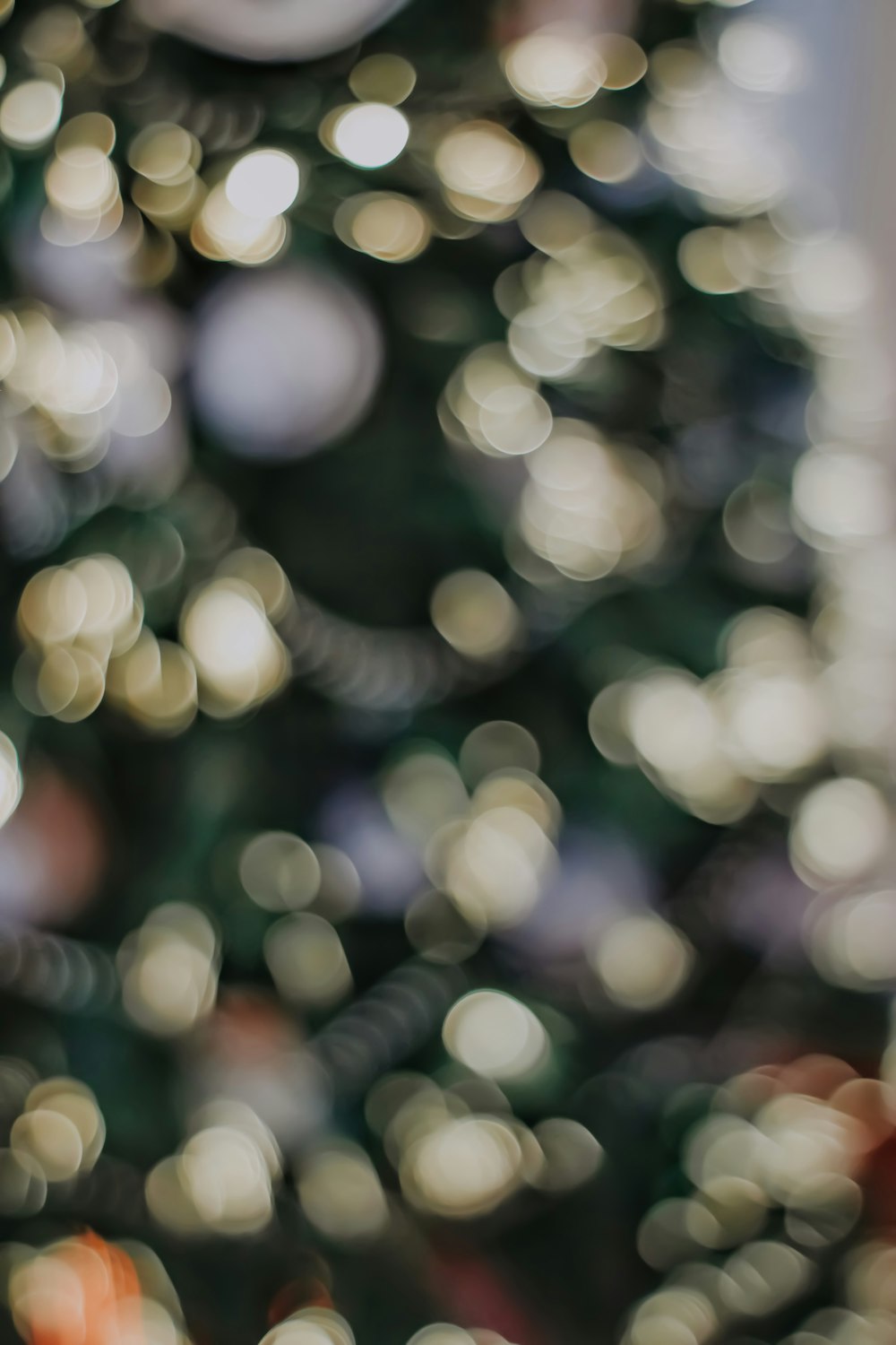 white and green bokeh lights