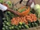 A market scene featuring fresh produce including cucumbers, carrots, and green beans. Two hands are visible; one holds an orange basket filled with green beans and carrots, while the other is reaching to take a carrot from the display.