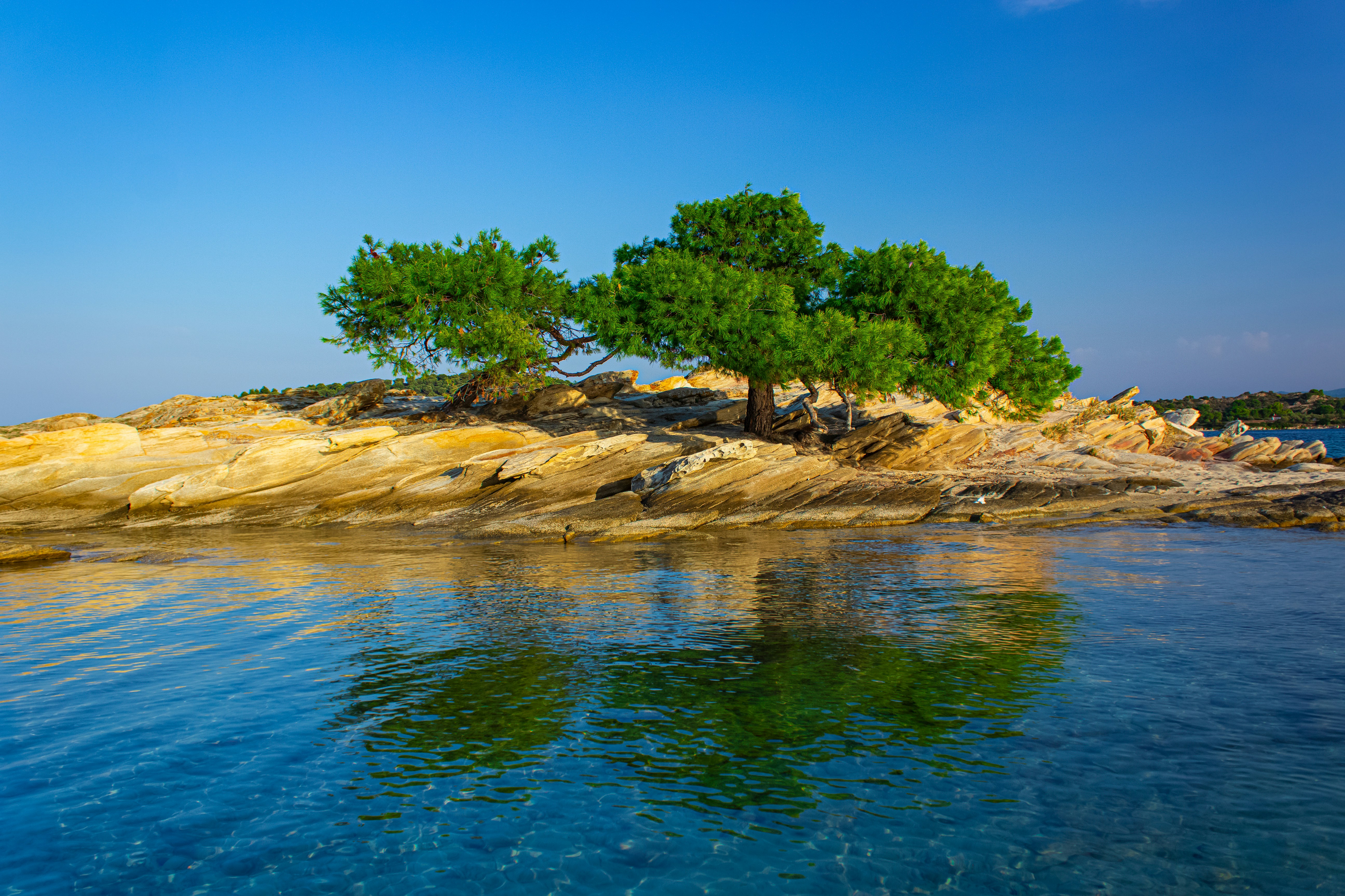 green trees on brown rock formation beside blue sea under blue sky during daytime, idyllic nature landscape photography summer clear weather colorful day scenic view of small rocky island and lonely tree beautiful environment space in Mediterranean sea bay place 