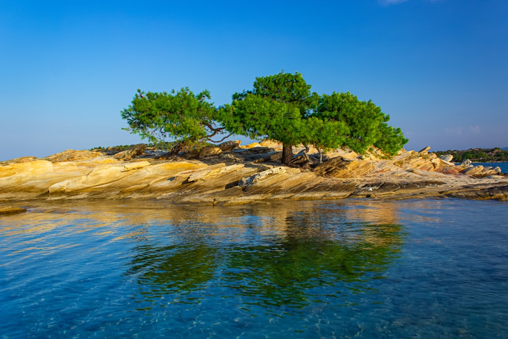 grüne Bäume auf brauner Felsformation neben blauem Meer unter blauem Himmel tagsüber