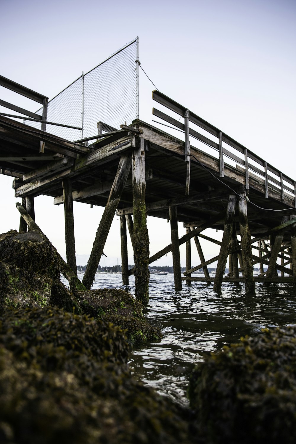 brown wooden bridge over water