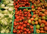 A selection of fresh vegetables arranged in green crates at a market. The left side displays pale green fennel bulbs with feathery fronds. The center and right sections showcase bright red and multicolored tomatoes, with some displaying a mix of green and red hues, indicating ripeness variation.