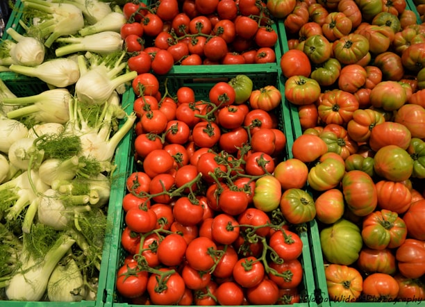 Fresh vegetables neatly arranged in green and blue crates at Zad Al-Alamiya.