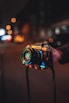 person holding black and silver nikon dslr camera