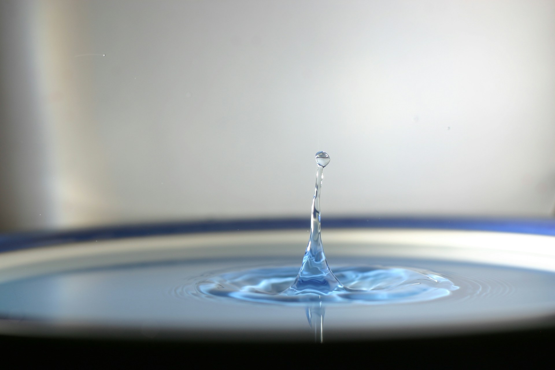 a blue and white plate with a water drop