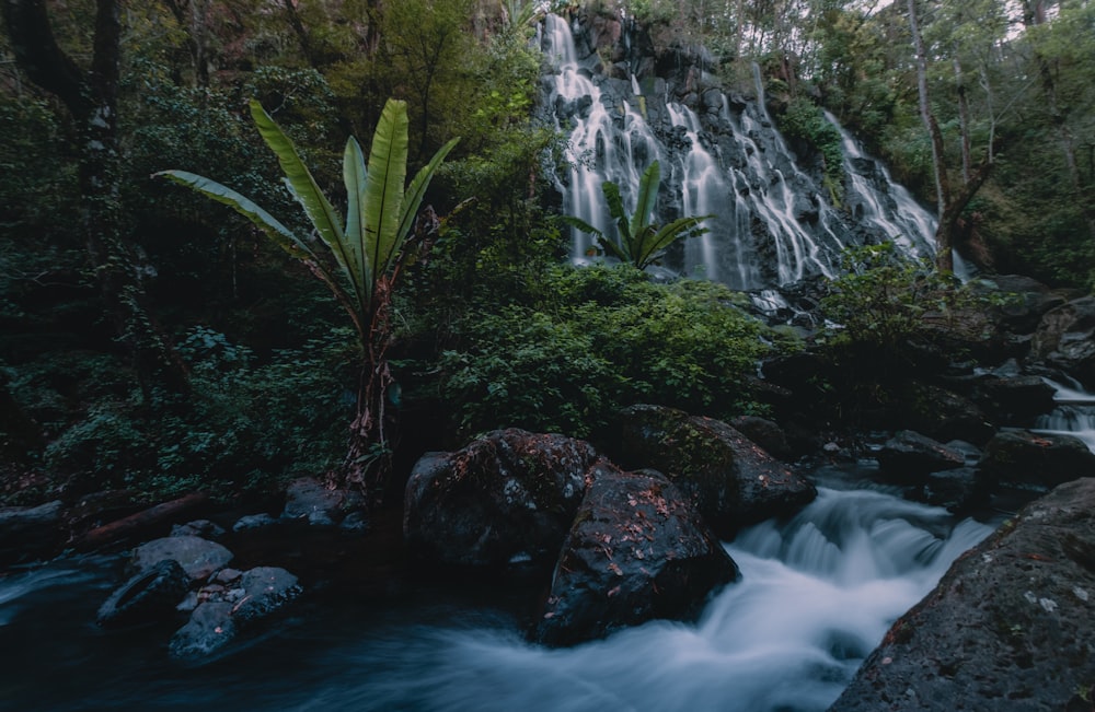 waterfalls in the middle of the forest