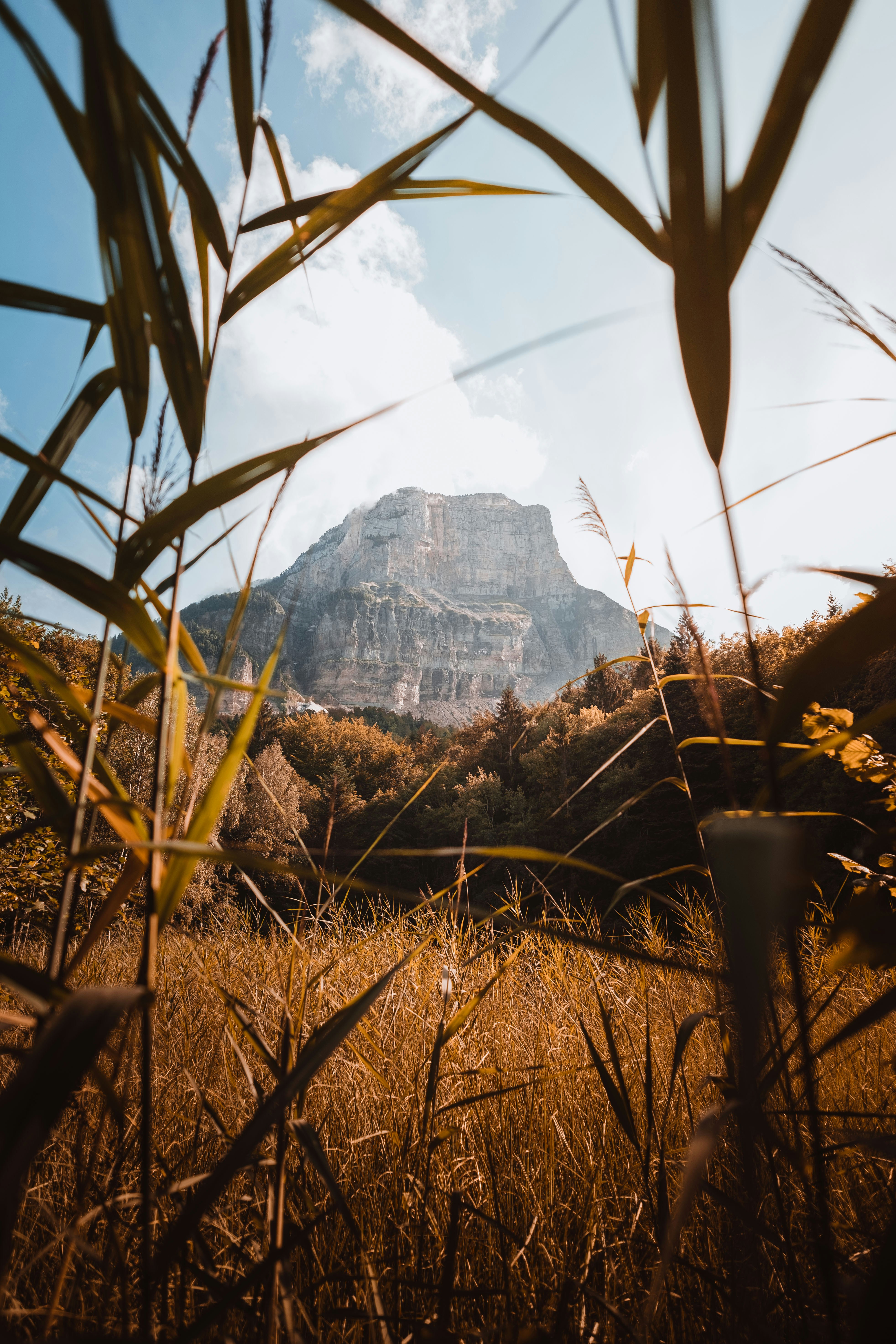 Discovery Green photo 2