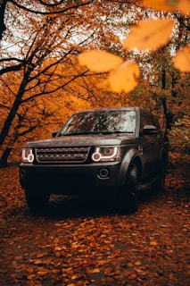 black mercedes benz g class suv parked near trees during sunset