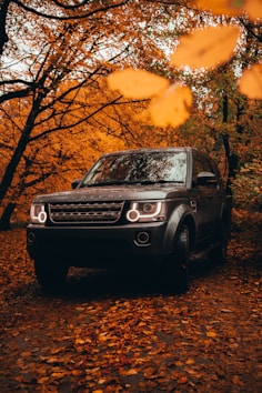 black mercedes benz g class suv parked near trees during sunset