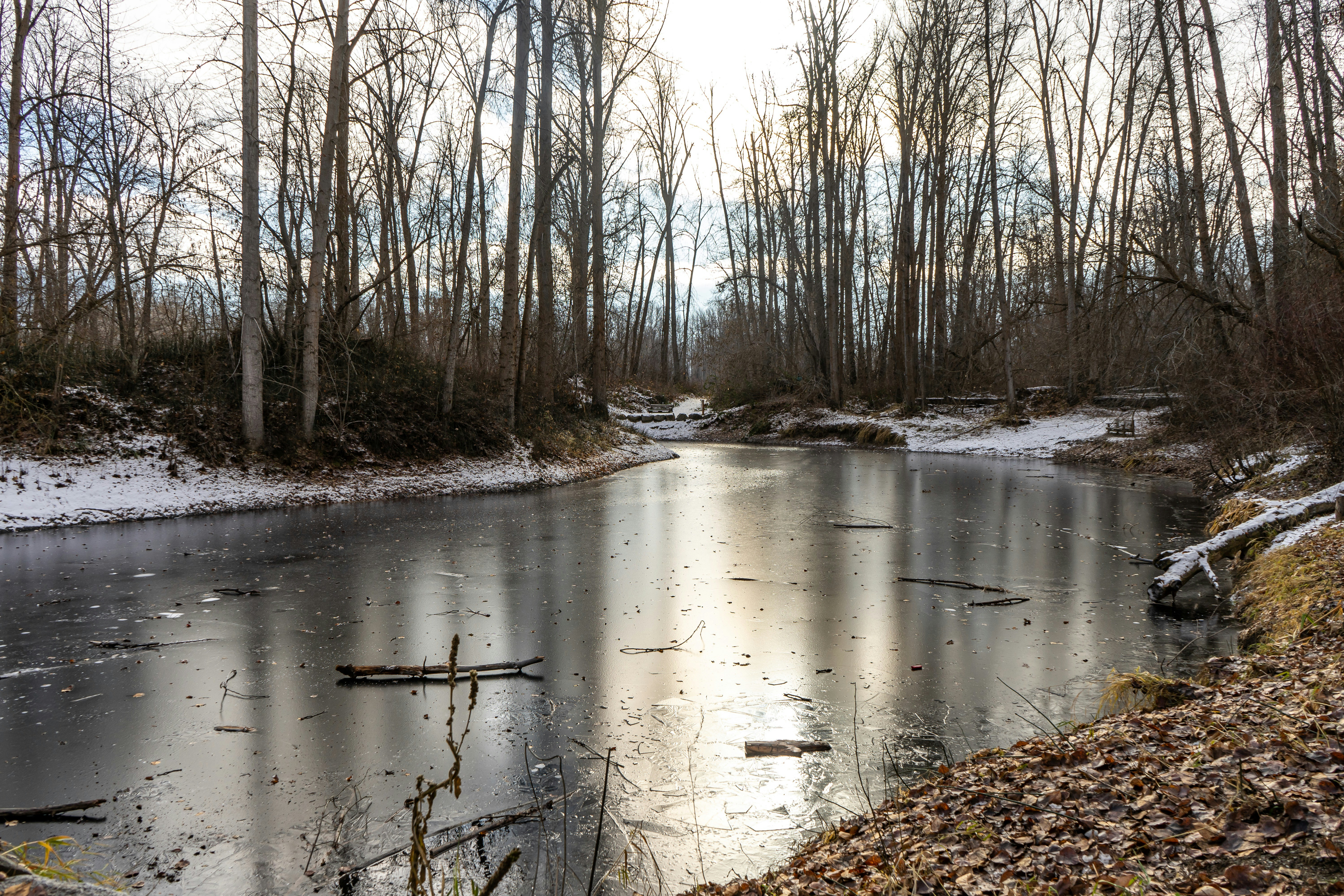 Photo by rosiebarley