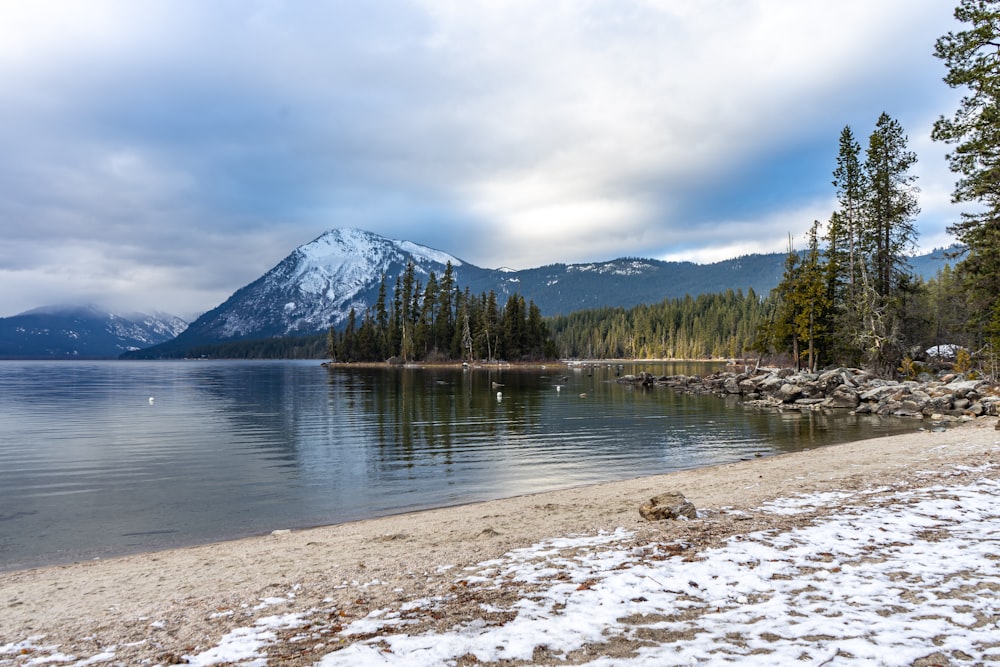 green trees near lake under white clouds and blue sky during daytime