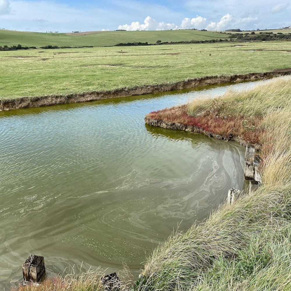 green grass field beside river during daytime