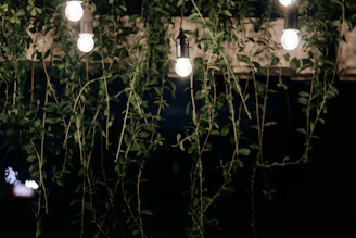 white light bulb turned on during nighttime