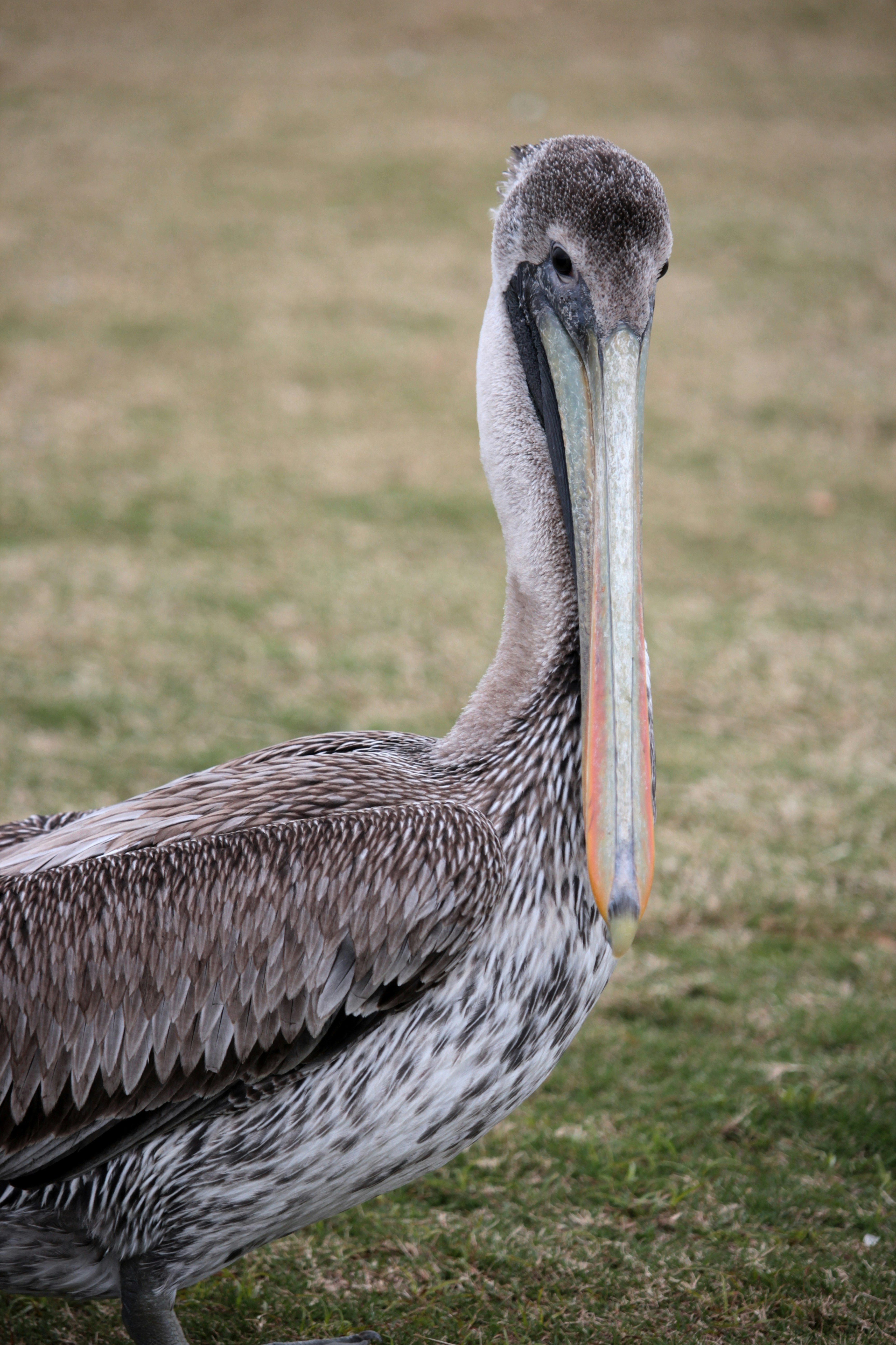 Photo by melissa_griffin