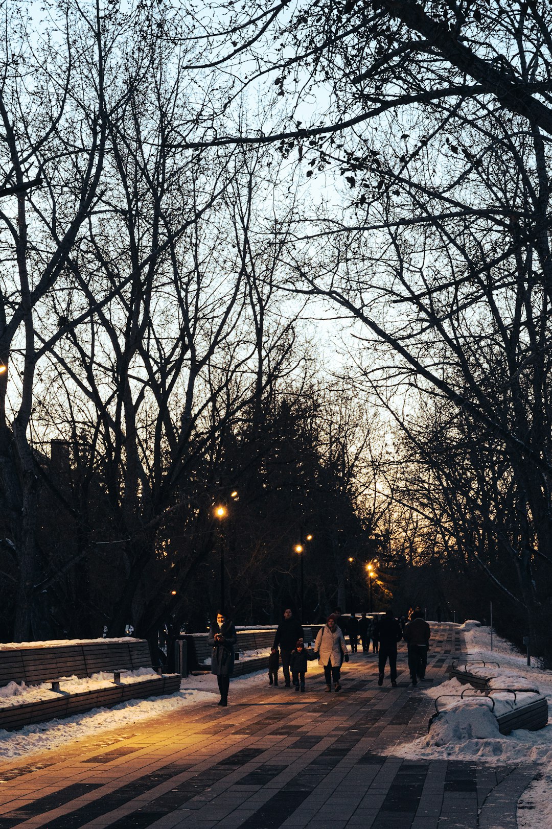 people walking on park during night time