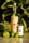 A bottle of artisanal mezcal labeled 'Madre de Todos Los Muertos' stands next to a smaller bottle of organic fair trade agave syrup. Surrounding them are several fresh limes, one of which is cut open. The background features lush green succulent leaves, creating a vibrant and natural setting.