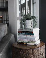 Stack of colorful books on a wooden shelf with a small plant