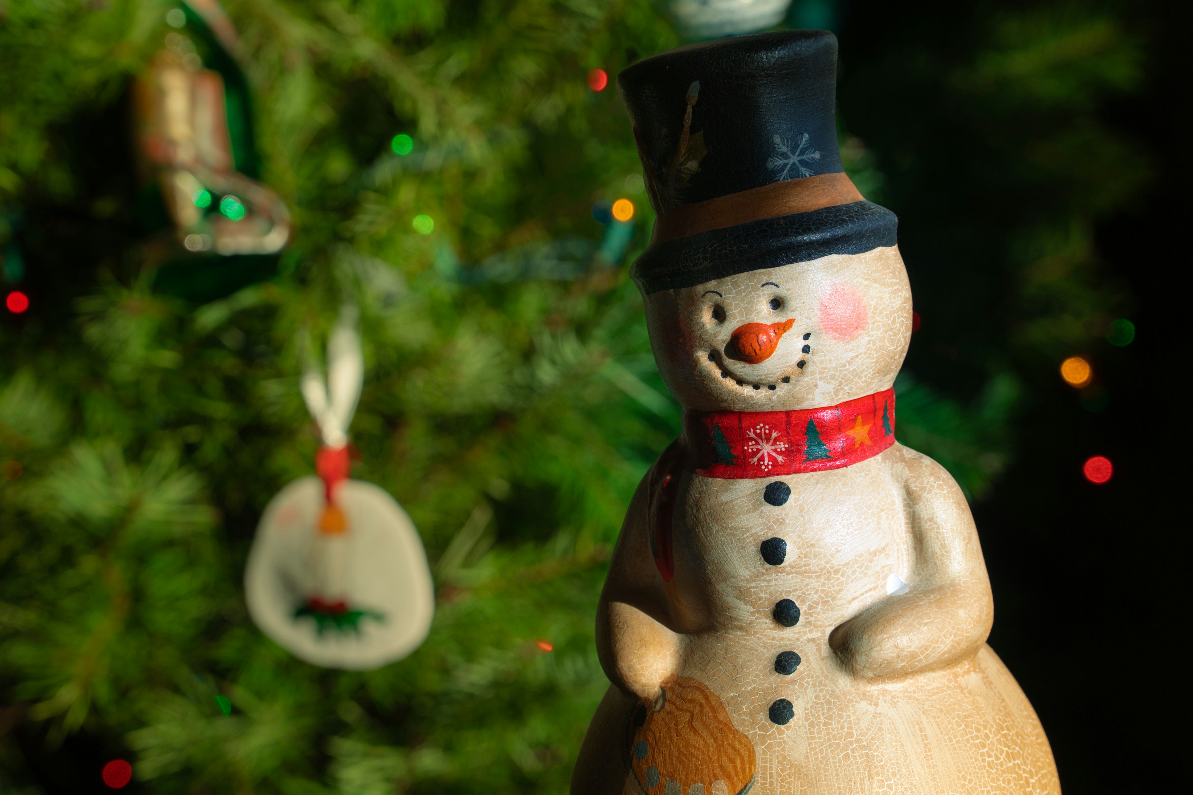 Photo by earl_plannerzone