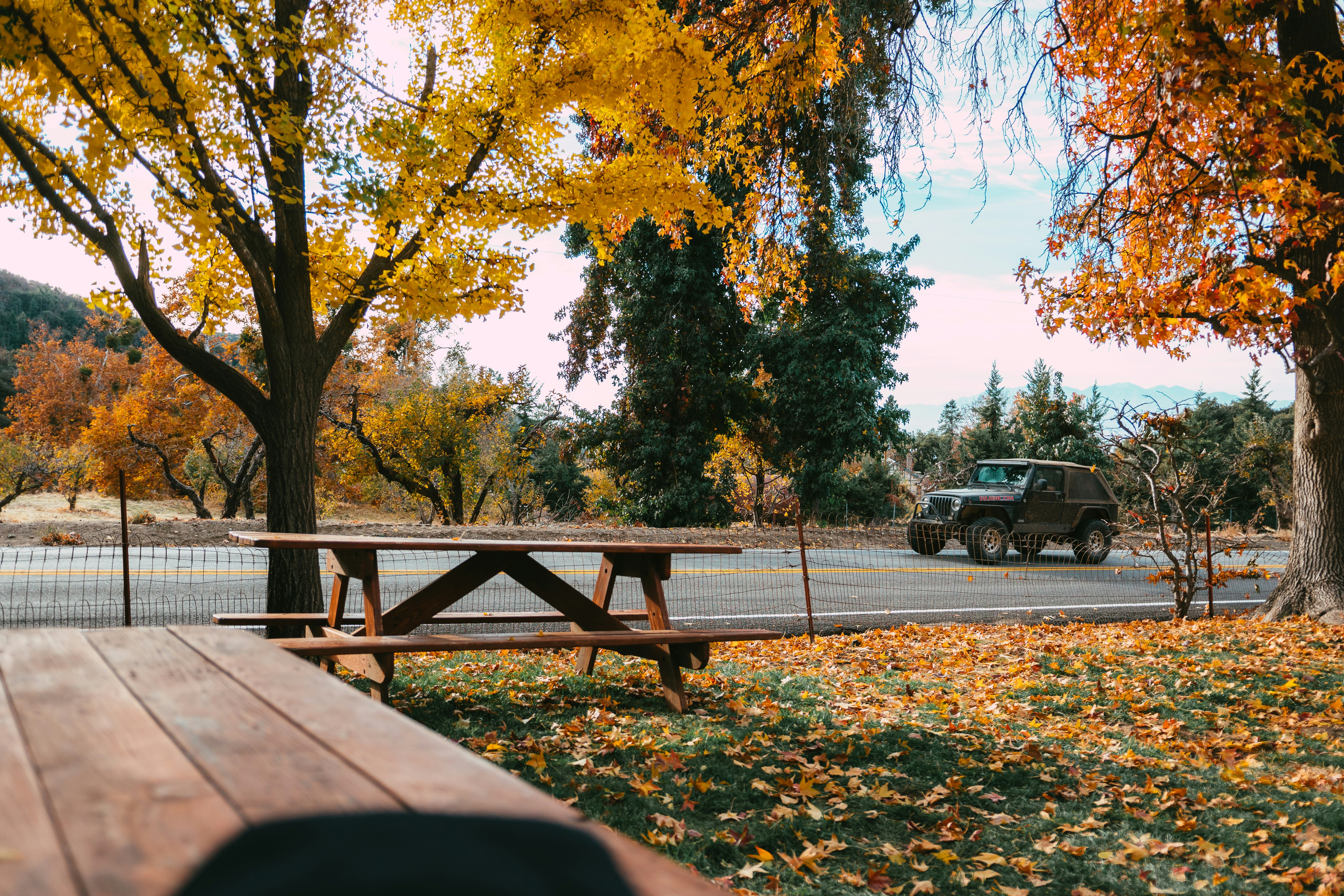 Photo by gabrielmenchaca