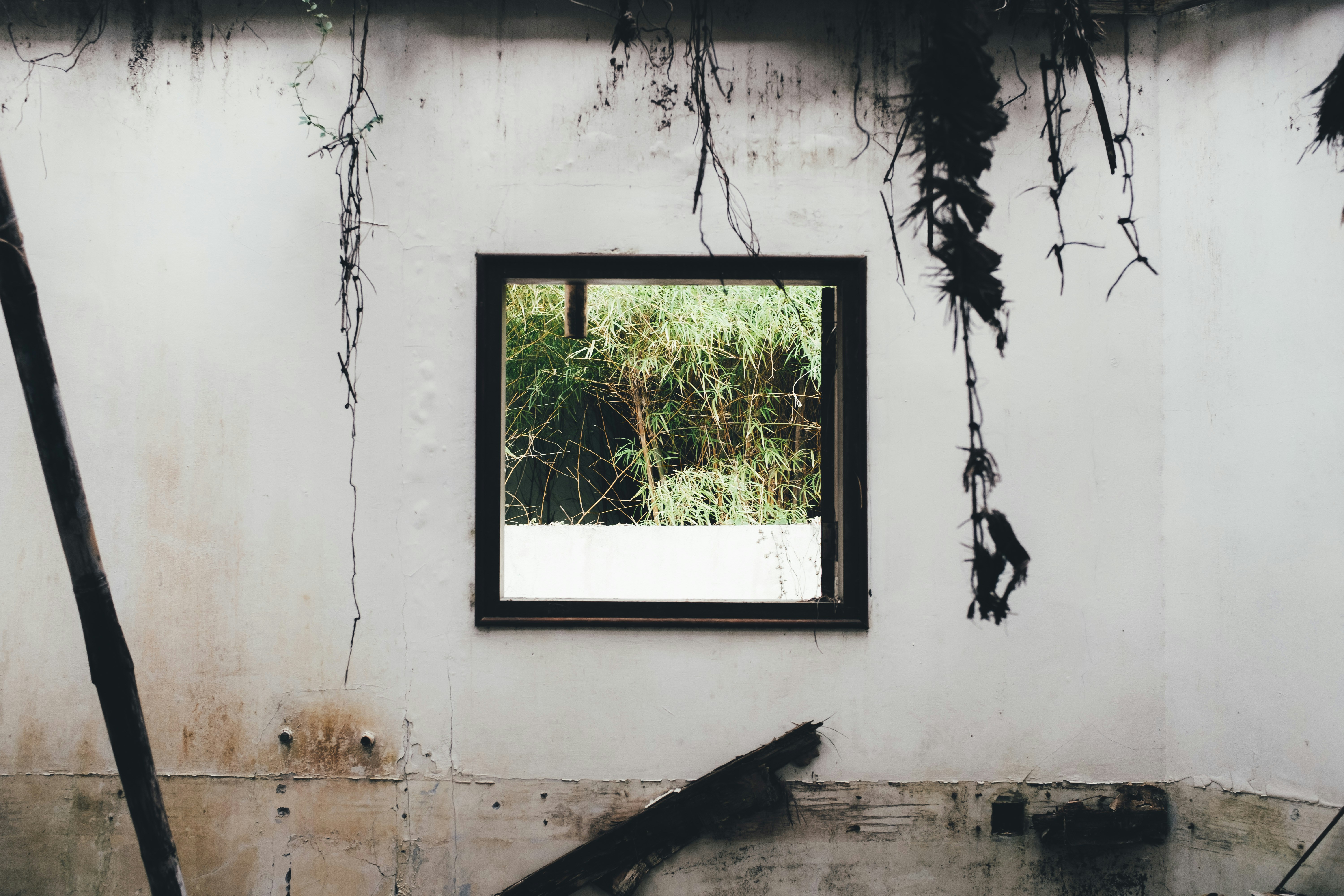 black wooden frame on white wall photo – Free Wall Image on Unsplash
