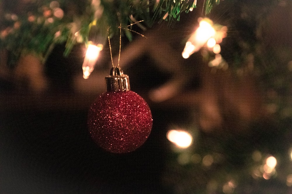 red bauble hanging on green christmas tree