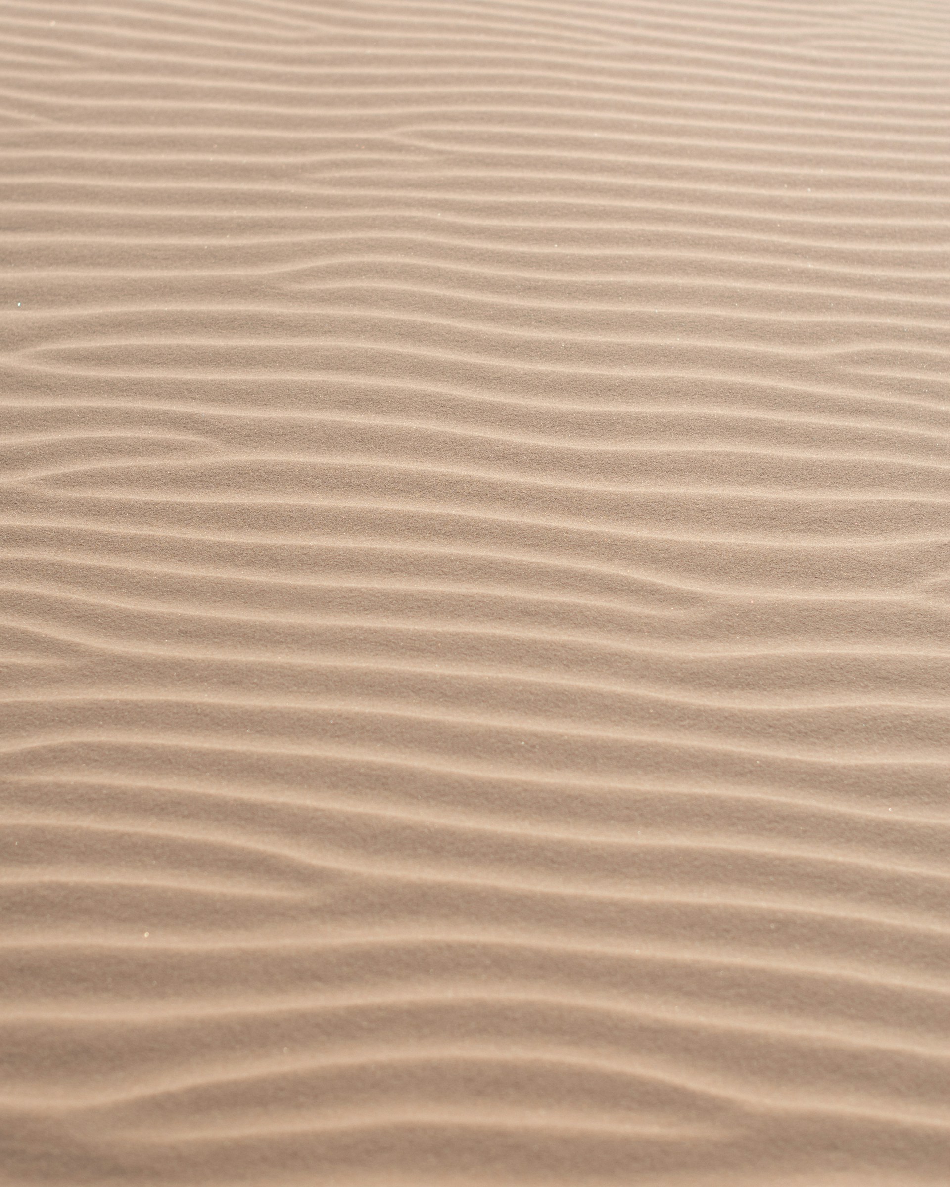brown and white stripe textile