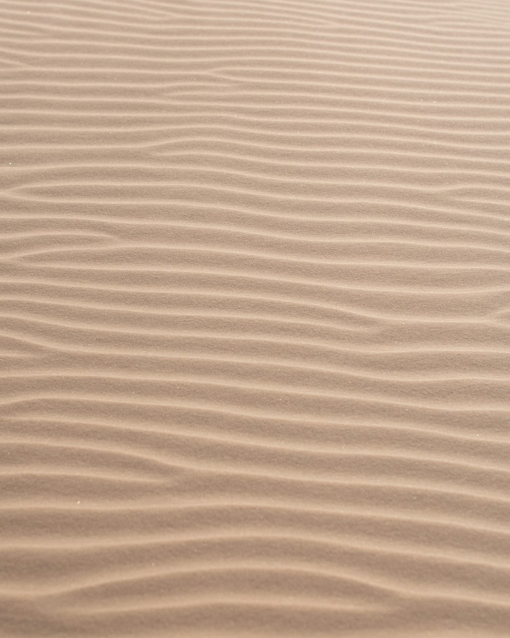 brown and white stripe textile