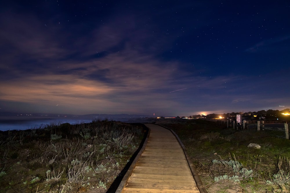 brown wooden pathway between green grass field during night time