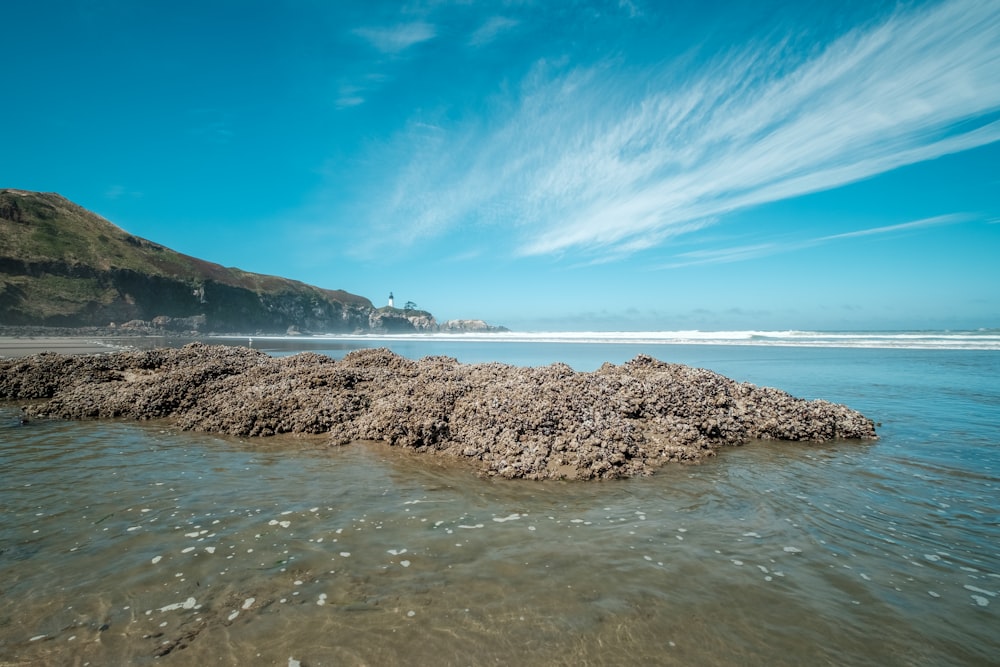 brown rocky mountain beside sea under blue sky during daytime