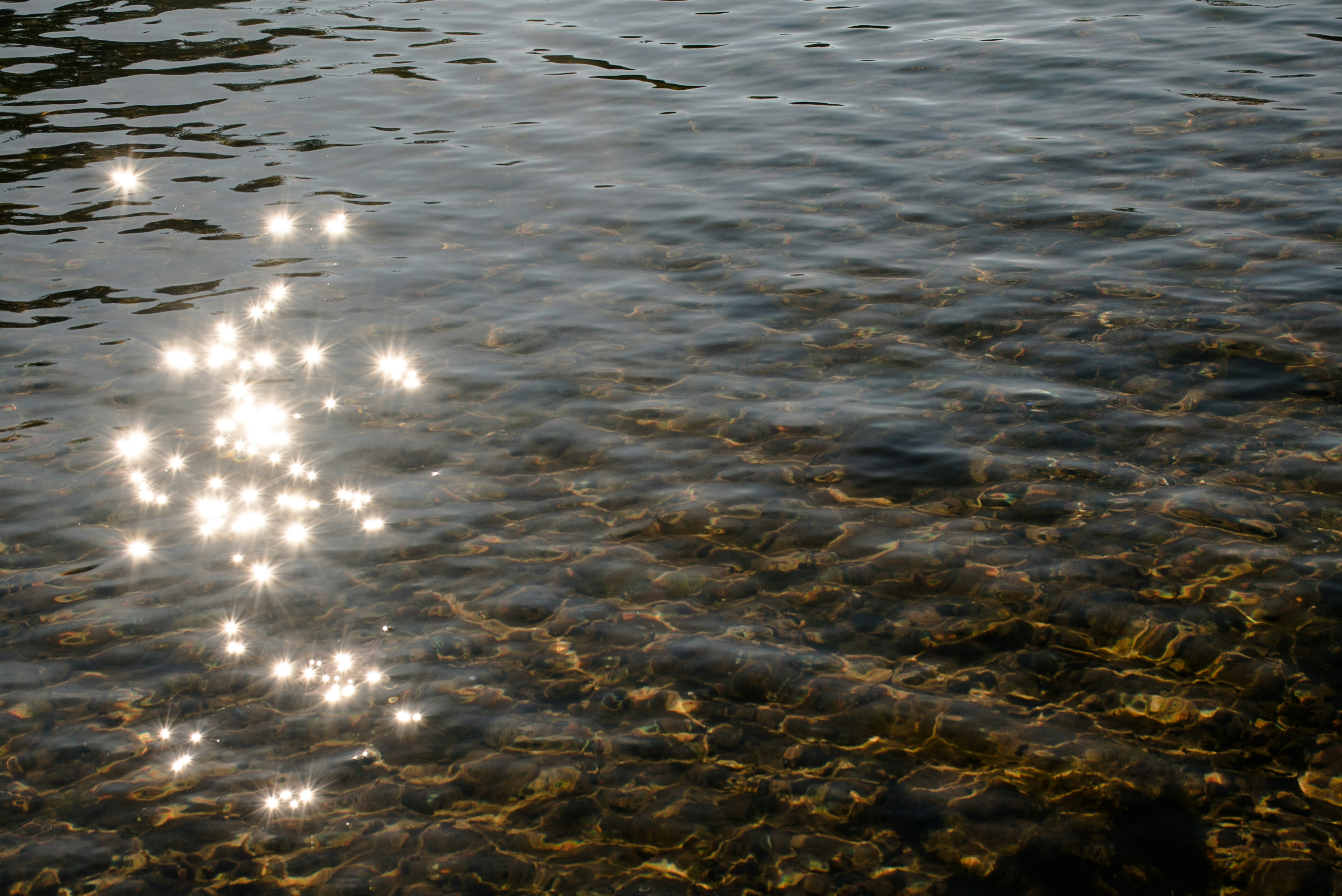 Photo by lynns_lens