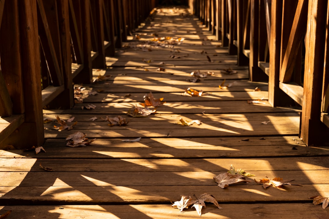 brown wooden bridge with dried leaves on the ground, wooden bridge and autumn leaves