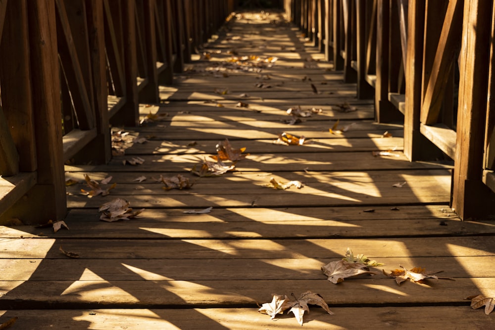 brown wooden bridge with dried leaves on the ground